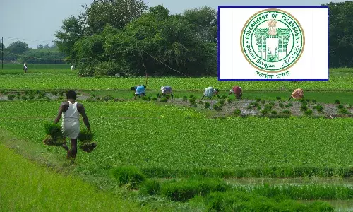 telangana, crop loan,    new proposal, government,
