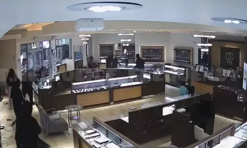 theft,  jewellery, america,   viral video,