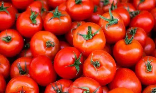 tomato, rate hike, kg rs.100,