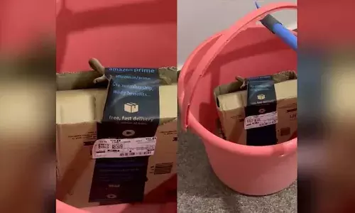 Bengaluru, cobra, Amazon package, Viral news