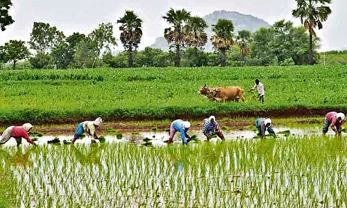 రైతన్నలకు గుడ్ న్యూస్.. కనీస మద్దతు ధర పెంచేసిన ప్రభుత్వం
