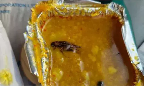 Vande Bharat, passenger, cockroach, food, Railways , IRCTC