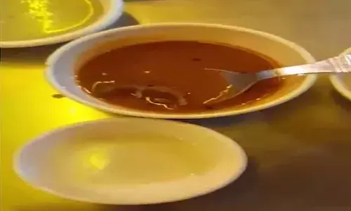 Ahmedabad, restaurant, dead rat, sambhar