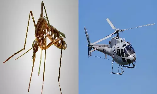 america, mosquito, helicopter, hawaii,
