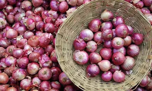 Central Govt, Onions, Retail Prices, Onion Price
