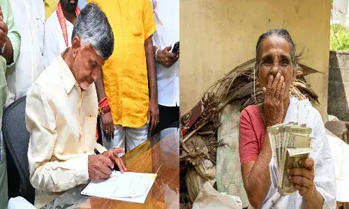 Andhra Pradesh, government, cm Chandrababu, pension,