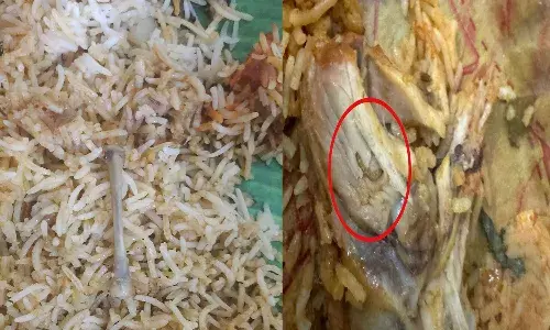 hyderabad, food delivery, online, bug, biryani,