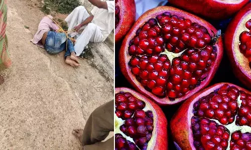 Telangana, Dalit boy, pomegranate , Kesaram
