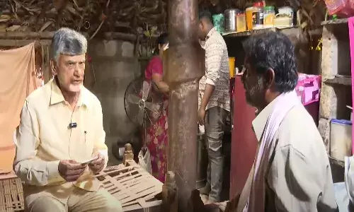 andhra pradesh pension cm chandrababu