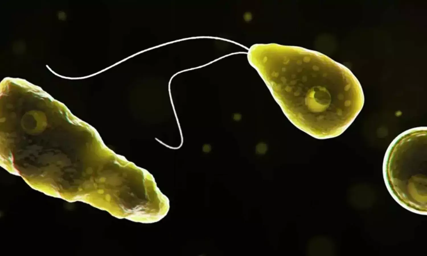 Kerala, infection, brain eating amoeba