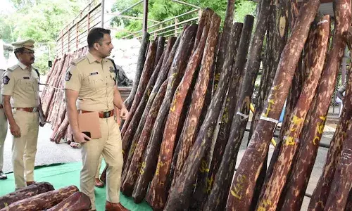 arrest, smuggling, red sandalwood, Andhra Pradesh