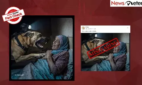 fact chek, ai photo, israeli army dog, attack, palestinian woman,