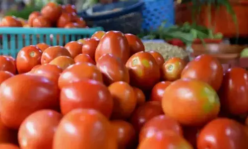 tomato, rate hike,  India, kg rs.100,