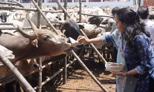 largest veterinary hospital, South India, Shamshabad, Hyderabad