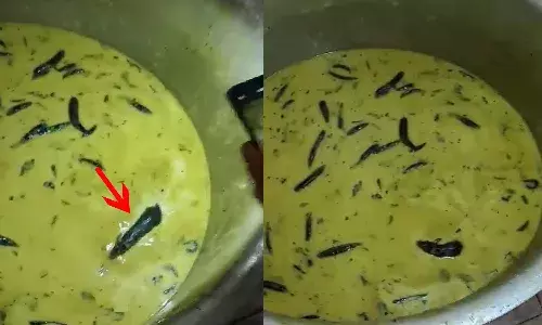 sangareddy, engineering, hostel chutney, rat ,