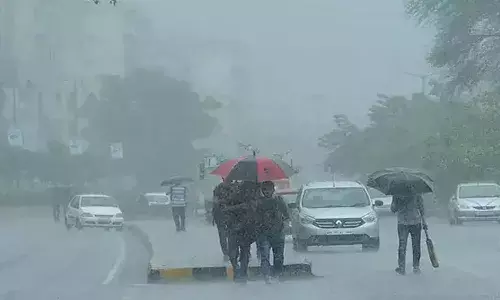 telangana, rain, yellow alert,  13 districts