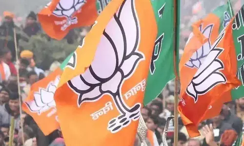 bjp, new chief election,  december,