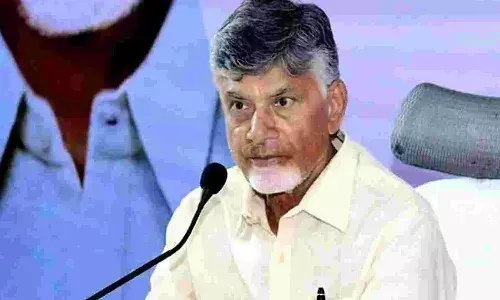 Andhra Pradesh, cm Chandrababu, delhi tour ,