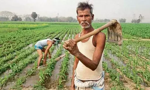 Telangana, farmers, Loan waiver, CM Revanth