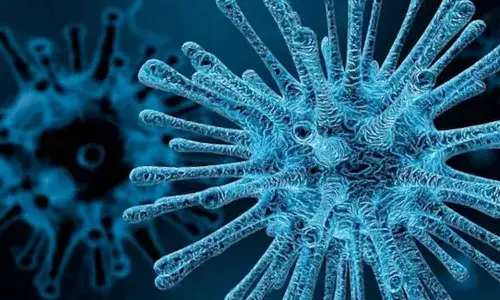 Chandipura virus, Gujarat, Health Minister Rushikesh Patel,National Institute of Virology