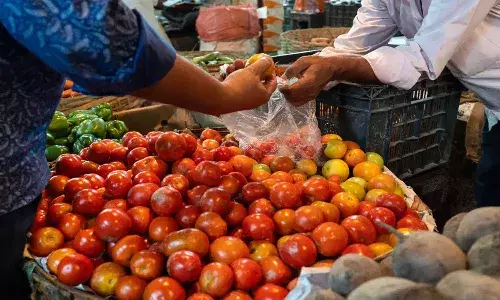 telangana, hyderabad, tomato rate, rs.100 per kg,