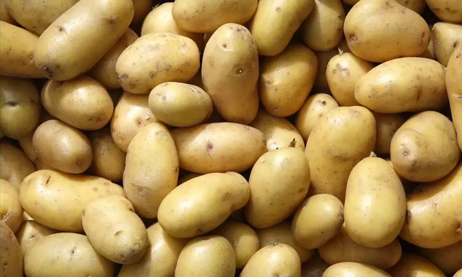 Vegetable vendor, Agra, potato price, Crime