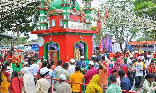 Rottela panduga, festival, CM Chandrababu, Nellore