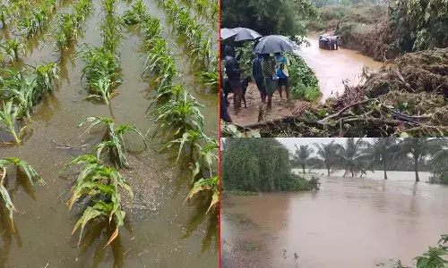 Rains, Andhra Pradesh, Crops, APnews, IMD