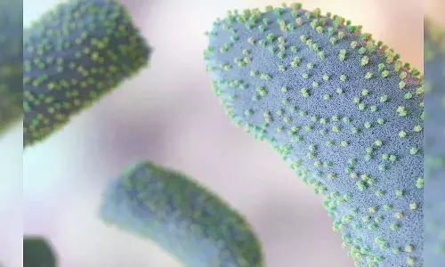 gujarat, chandipura virus, 16 deaths,