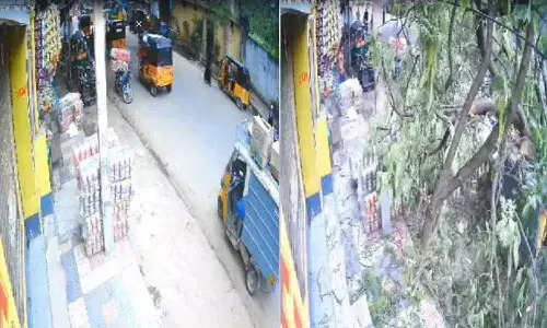 Hyderabad : రోడ్డుపై కూలిన భారీ వృక్షం.. వృద్ధుడు మృతి