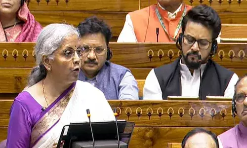 union budget, minister Nirmala Sitharaman, Andhra Pradesh, bihar ,