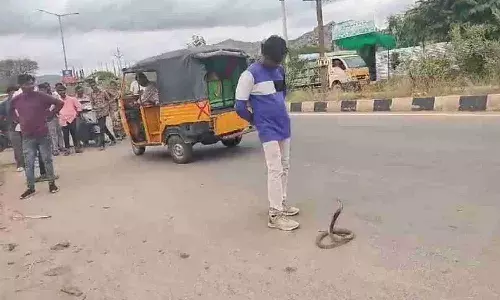 Cobra, Kadiri , drunk man plays with snake, APnews