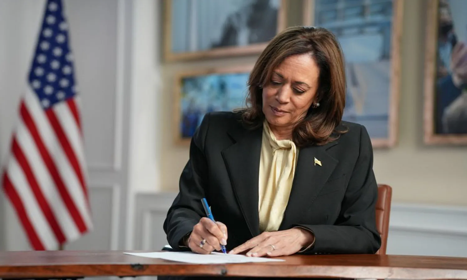 America, president election, democratic party,  kamala harris,