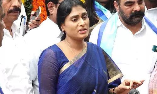 ys sharmila, comments,  jagan, andhra pradesh,