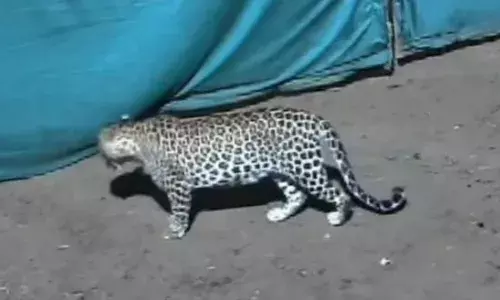 మహానందిలో మరోసారి టెన్షన్