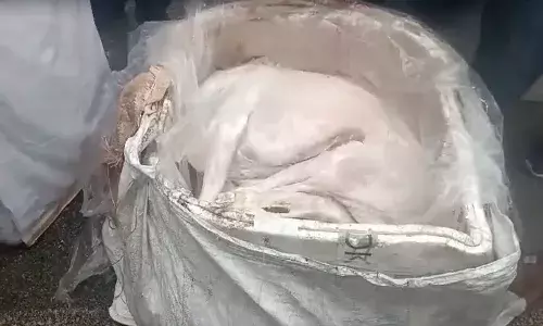 Transportation,  dog meat,  mutton, bengaluru