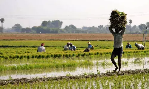 Telangana government, farmer loan waiver, CM Revanth reddy