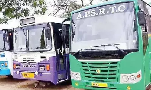 Andhra Pradesh, government, good news,  free bus,