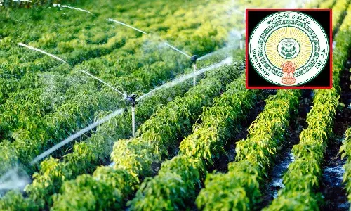 Andhra Pradesh, government, good news,  farmers,