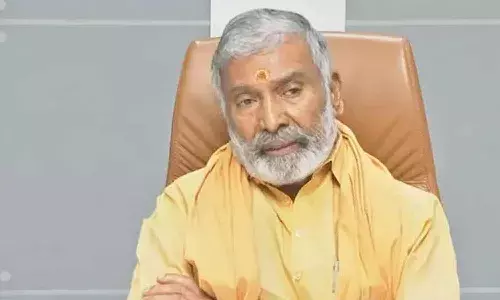 మదనపల్లి కేసుతో ఎలాంటి సంబంధం లేదు : పెద్దిరెడ్డి
