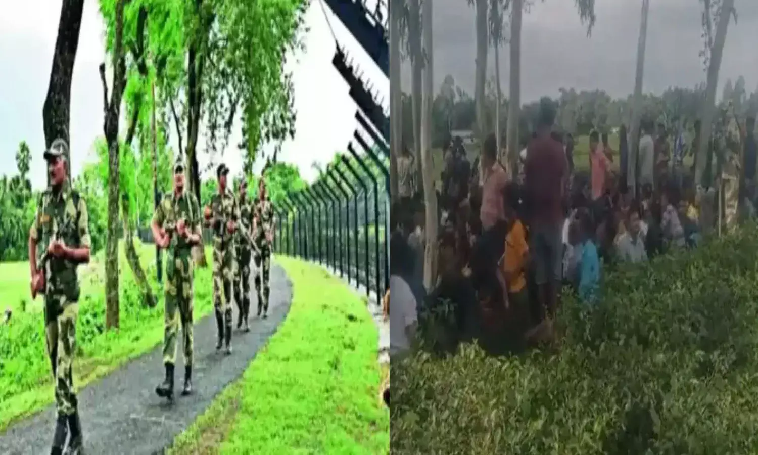 Bangladesh nationals,   India border, bsf,