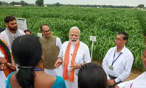 PM Modi, high yielding, climate resilient, biofortified varieties crops, agriculture