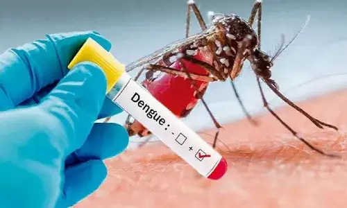 dengue fever,  600 cases,  Hyderabad,
