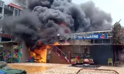 fire, Dino Park, Vizag, APnews
