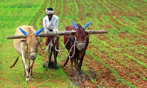 Telangana, farmers, farmer loan waiver, CM Revanth