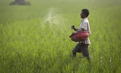 farmer loan waiver , Telangana , CM Revanth reddy