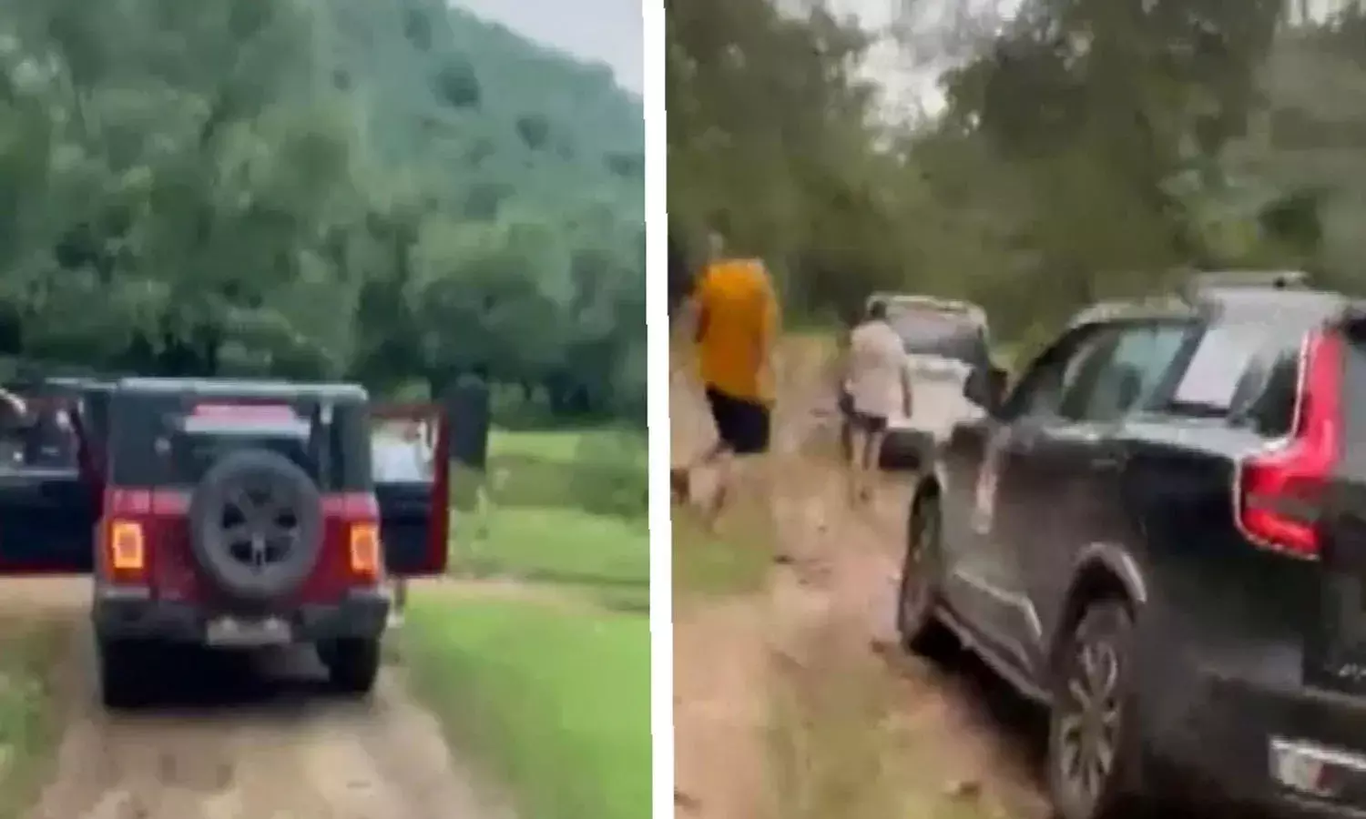 cars seized, illegal entry, tiger reserve, ranthambore national park, rajasthan,