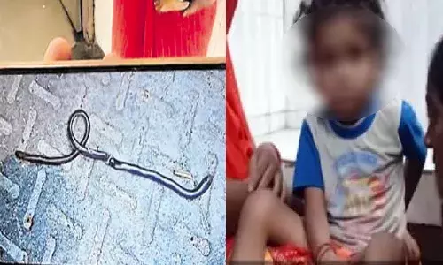 bihar, child, play,  snake,