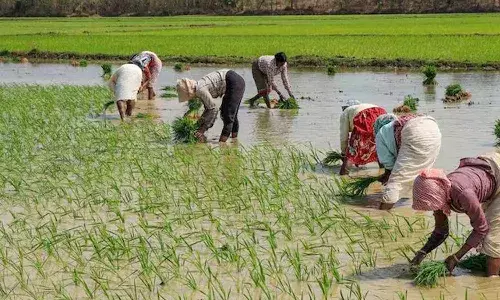 Telangana Government, non loan waiver farmers, Telangana, Telugu news