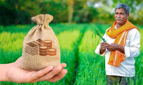 farmer, crop loan, Area Bank, Telangana